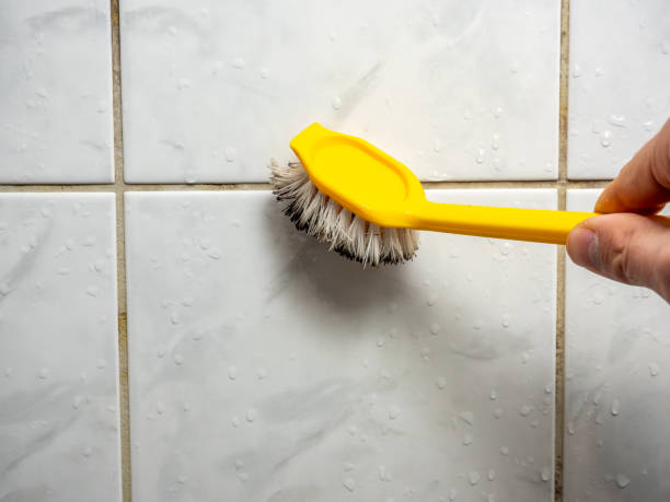 Best Professional Mold Removal  in Princeton, IL