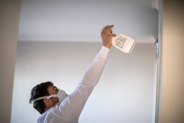 Best Mold Testing  in Princeton, IL