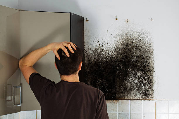Crawl Space Mold Removal in Princeton, IL